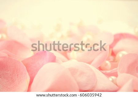 Pearls on a pink Rose petals