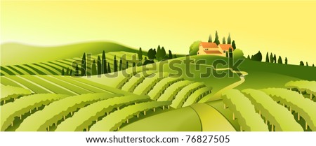 Rural Landscape Vineyard Stock Vector (Royalty Free) 76827505