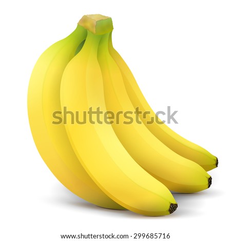 Banana fruit close up. Bunch of bananas isolated on white background. Qualitative vector illustration about banana, agriculture, fruits, cooking, gastronomy, etc