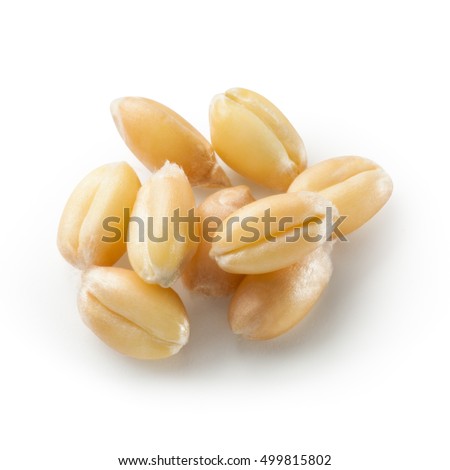 Cereal Grains Stock Images, Royalty-Free Images & Vectors | Shutterstock