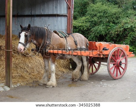 Horse Pulling Cart Muckross Traditional Farms Stock Photo 345025388 ...