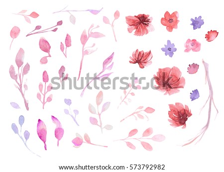Set of flowers, leaves and branches, painted in watercolor, isolated on white. Sketched wreath, floral and herbs garland. Handdrawn Vector Watercolour style.