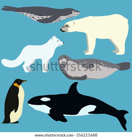 Set Cartoon Arctic Antarctic Animals Vector Stock Vector 356215688 ...