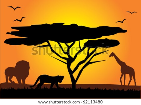 African Tree Silhouette Stock Images, Royalty-Free Images & Vectors | Shutterstock