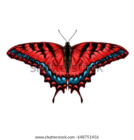 stock-vector-red-butterfly-with-blue-pattern-on-the-wings-of-the-symmetric-top-view-sketch-vector-graphics-color-648751456.jpg