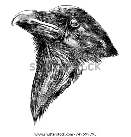 Raven Head Sketch Vector Graphics Monochrome Stock Vector ...