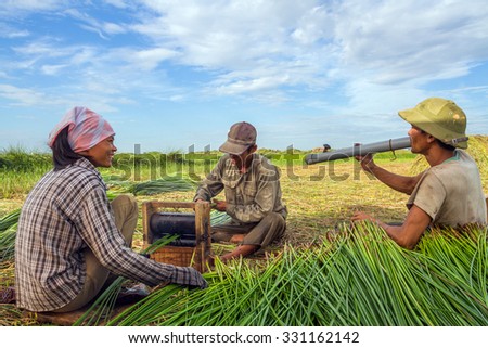 NGA SON ,THANH HOA ,VIETNAM - JUNE 30. 2013 : farmers harvesting sedge in Thanh hoa . Weaving sedge mat is a traditional craft of the people in Nga Son, Thanh Hoa, Vietnam.