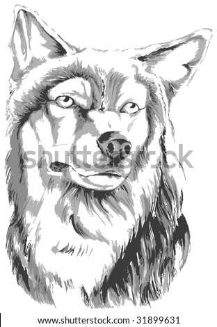 Sketch Tattoo Art Bull Stock Illustration 64846456 - Shutterstock