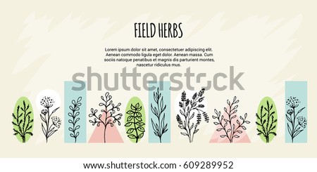 Vector set in the form of a banner on a theme of field grasses, flowers and plants. Spring Green. It is executed in the form of a sketch. All objects are isolated.