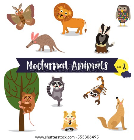 Nocturnal Animals Cartoon On White Background Stock Vector 553306495 ...