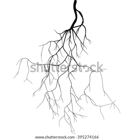 Root Outline Stock Photos, Royalty-Free Images & Vectors - Shutterstock