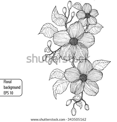 Card Dogrose Flower Wild Rose Stock Vector 125880290 - Shutterstock