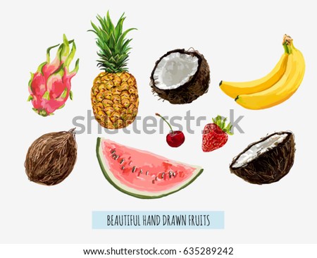 Beautiful hand drawn fruits coconut, banana, dragon fruit, cherry, watermelon, strawberry, pineapple. Seamless vector floral pattern, summer background.