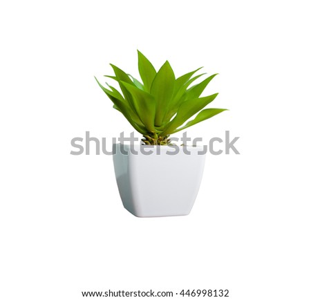 stock photo tree pots decoration on white background 446998132