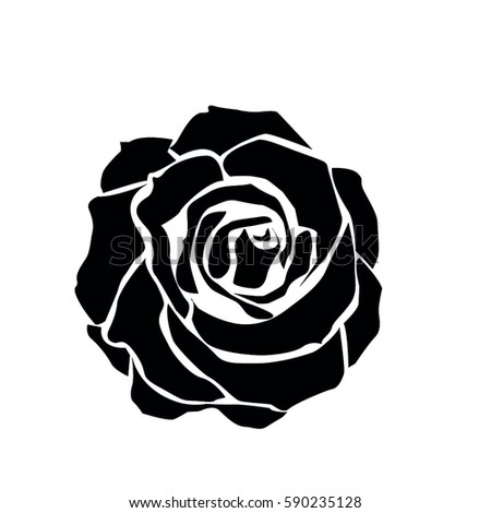 Black Rose Vector Stock Vector 590235128 - Shutterstock