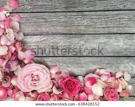 Shabby Roses Wallpaper And Petals On Rustic Wooden Background Shabby Roses Wallpaper And Petals On Rustic Wooden Background