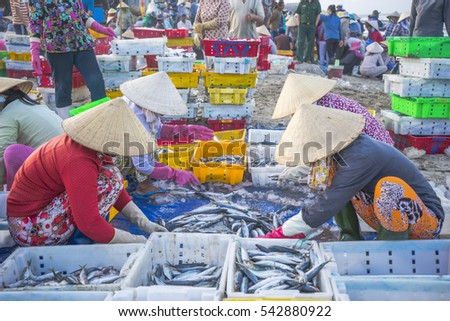 Long Hai, Vietnam - 03 July 2016: The activities of Vietnamese woman in Long Hai fish market, preparing marine fish for the morning market