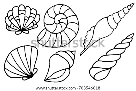 hand drawn sea shells collection marine stock vector