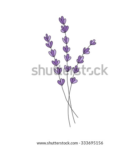 Lavender Pencil Drawing Vector Set Stock Vector 99480647 - Shutterstock
