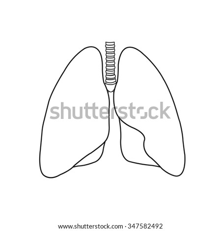 Sketch Lungs Vector Sketch Handdrawn Illustration Stock Vector ...