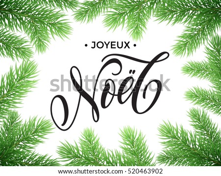 French Merry Christmas Joyeux Noel, New Year Bonne Annee text lettering in frame of pine, fir, spruce tree branches. Festive Joyeux Noel greeting card with Christmas golden stars ornaments
