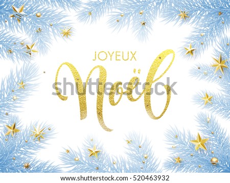 Merry Christmas in French Joyeux Noel greeting card. Joyeux Noel poster template of pine and fir christmas tree branches, golden stars, ornament decorations. Joyeux Noel calligraphy lettering text