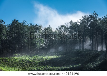 Da Lat, Vietnam, sun rise