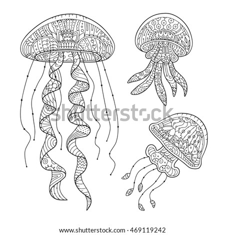 Zentangle Stylized Jellyfish Isolated On White Background Adult Antistress Coloring Page Vector Hand