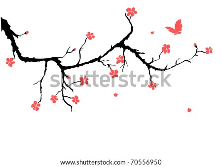 cherry blossom