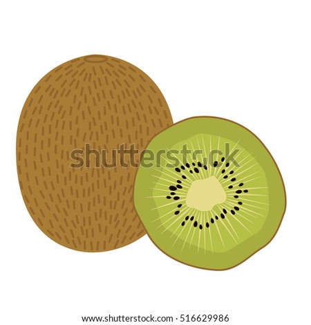 Kiwi fruit vector illustration. Sliced juice kiwi on the white background