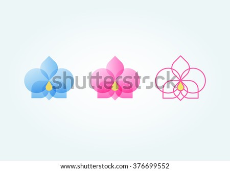 Set of orchid flower (blue, pink, lines)