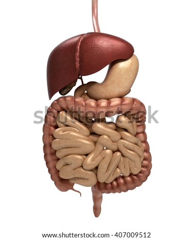 Anus Stock Photos, Royalty-Free Images & Vectors - Shutterstock