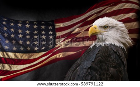 Patriotic Stock Images, Royalty-Free Images & Vectors | Shutterstock