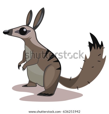 Numbat Stock Images, Royalty-Free Images & Vectors | Shutterstock