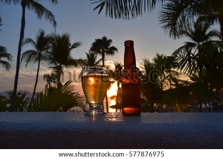 Glass Beer Beer Bottle Palm Trees Stock Photo 577876975 - Shutterstock