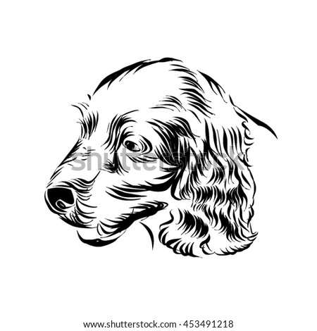 Irish Setter Vector Sketch Stock Vector 453491218 - Shutterstock