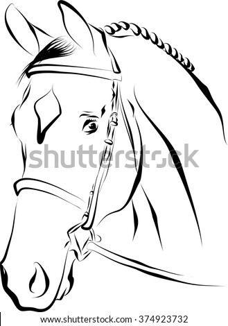 Bridle Stock Vectors & Vector Clip Art | Shutterstock