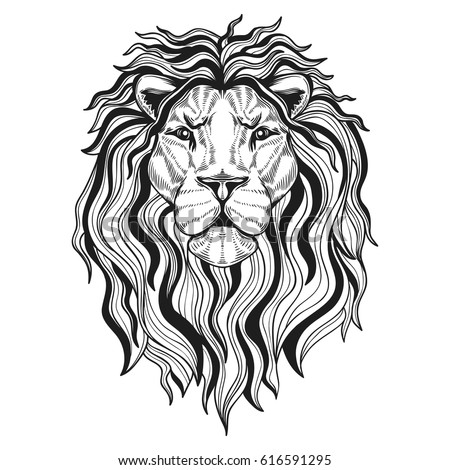 lions head your design stock vector 616591295 shutterstock lions head your design stock vector 616591295 shutterstock