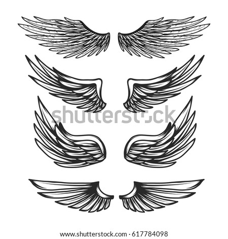 Vintage Wings Set Isolated On White Stock Vector 617784098 - Shutterstock