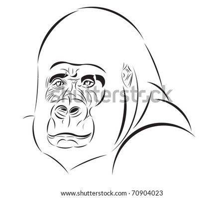 Gorilla-head Stock Images, Royalty-Free Images & Vectors | Shutterstock