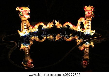 Dragon with reflection