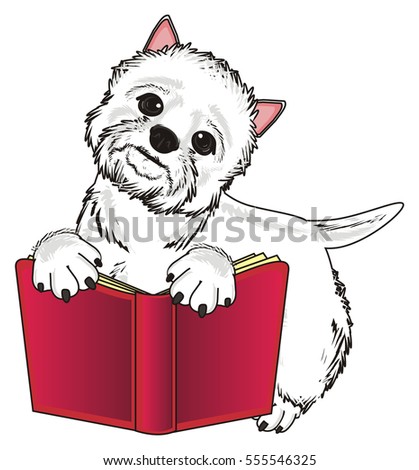 https://thumb9.shutterstock.com/display_pic_with_logo/3846452/555546325/stock-photo-west-highland-white-terrier-reading-a-book-555546325.jpg