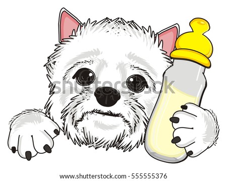 https://thumb9.shutterstock.com/display_pic_with_logo/3846452/555555376/stock-photo-cute-face-of-west-highland-white-terrier-with-bottle-of-milk-555555376.jpg