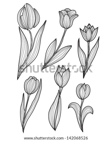 Set 12 Hand Drawn Decorative Tulip Stock Vector 163258142 - Shutterstock