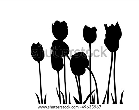 Black Tulips Stock Vector 49635967 - Shutterstock