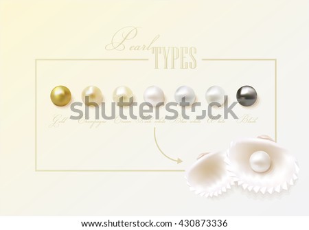 Gorgeous round, smooth, shiny clam pearl types. Beautiful pearl collection with two clam sea shells.