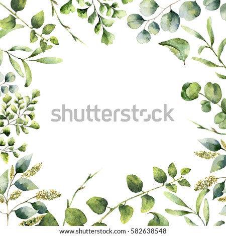 Olive tree discount coupon