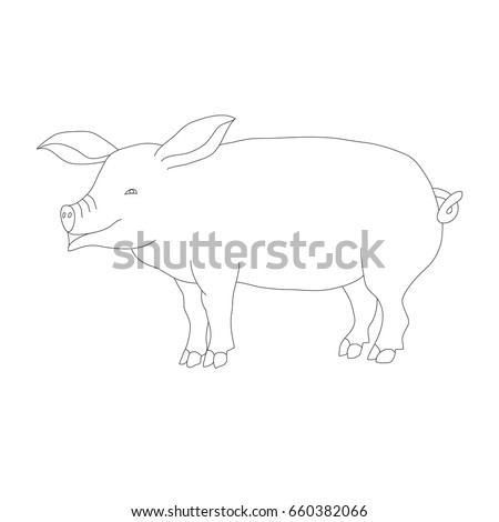Pig Outline Stock Images, Royalty-Free Images & Vectors | Shutterstock