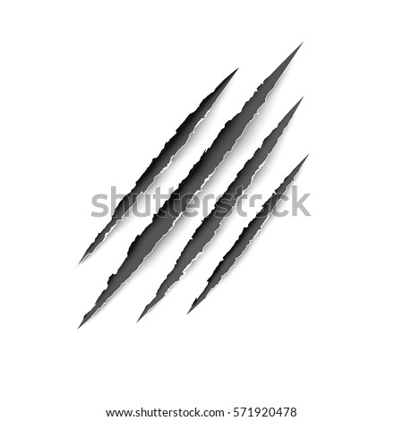 Animal Scratches Vector Claws Scratching Tiger Stock Vector 571920478 ...