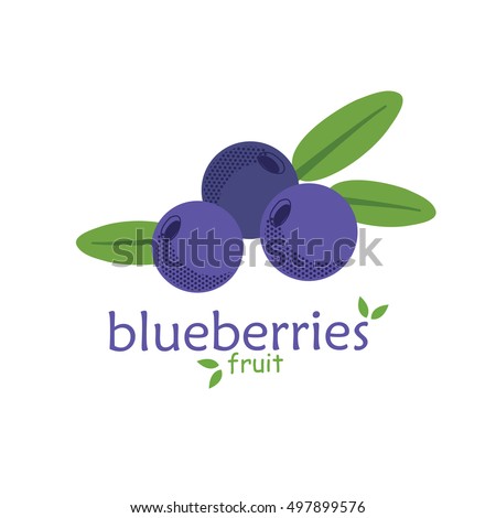 Vector Blueberry Icon Flat Cartoon Illustration Stock Vector 521605324